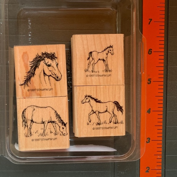 Stampin’ Up! HORSES MINI